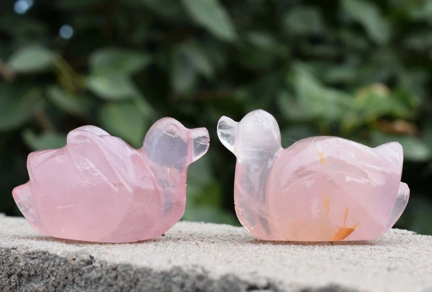 Rose Quartz Mandarin Ducks